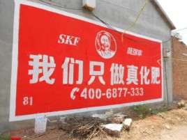  宜黄刷墙广告”蕴含了时代命题