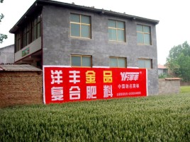  宜黄如何让墙体广告展现最大化效果