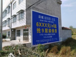  宜黄墙体广告质量分析